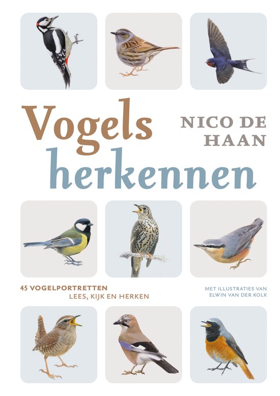 Vogels herkennen - cover