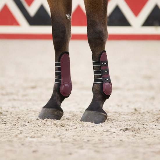 Twee donkerrode peesbeschermers om de voorbenen van een paard.