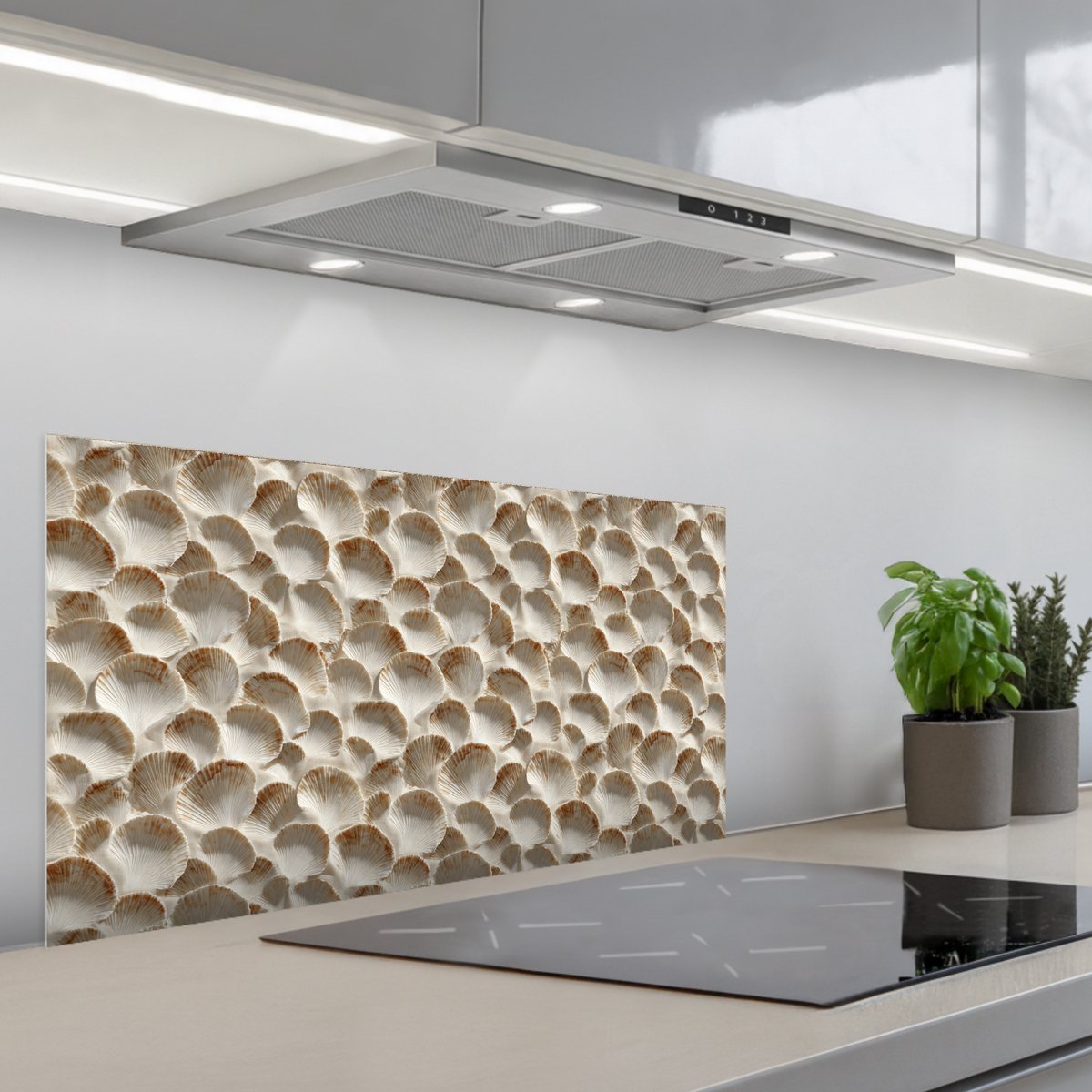 Spatscherm 80x40 cm - Zelfklevende achterwand Schelpen - Waaiervorm - Wit - Keuken muurbeschermer - Spatwand fornuis