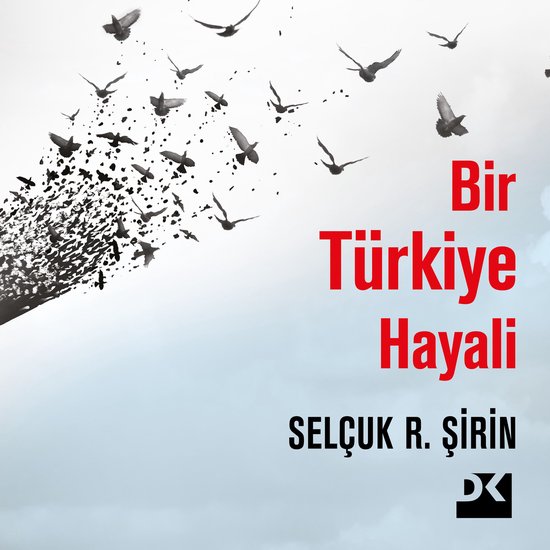 Bir Türkiye Hayali - cover