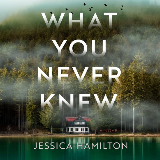 What You Never Knew - cover