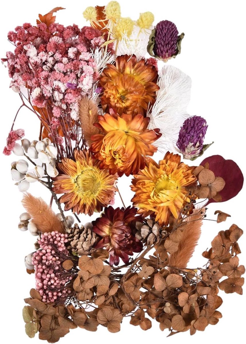 Gedroogde Bloemen - Hars Accessoires - DIY Projecten - Natuurlijke Kleurbehoud - 17x12cm Verpakking - Veelkleurig