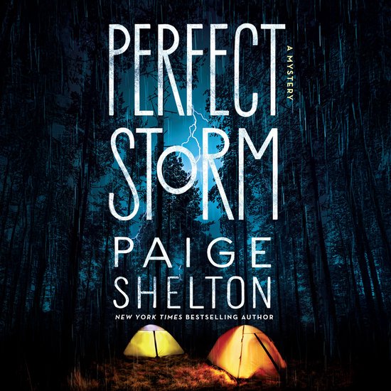 Perfect Storm - cover