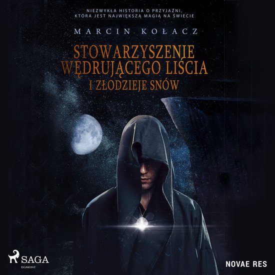 Stowarzyszenie wędrującego liścia i złodzieje snów - cover