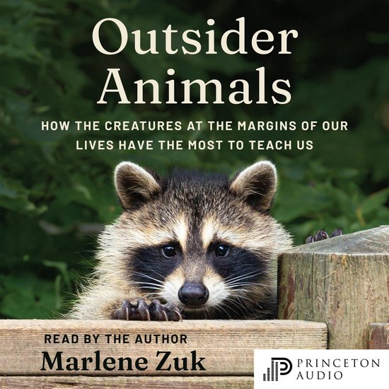 Outsider Animals - cover