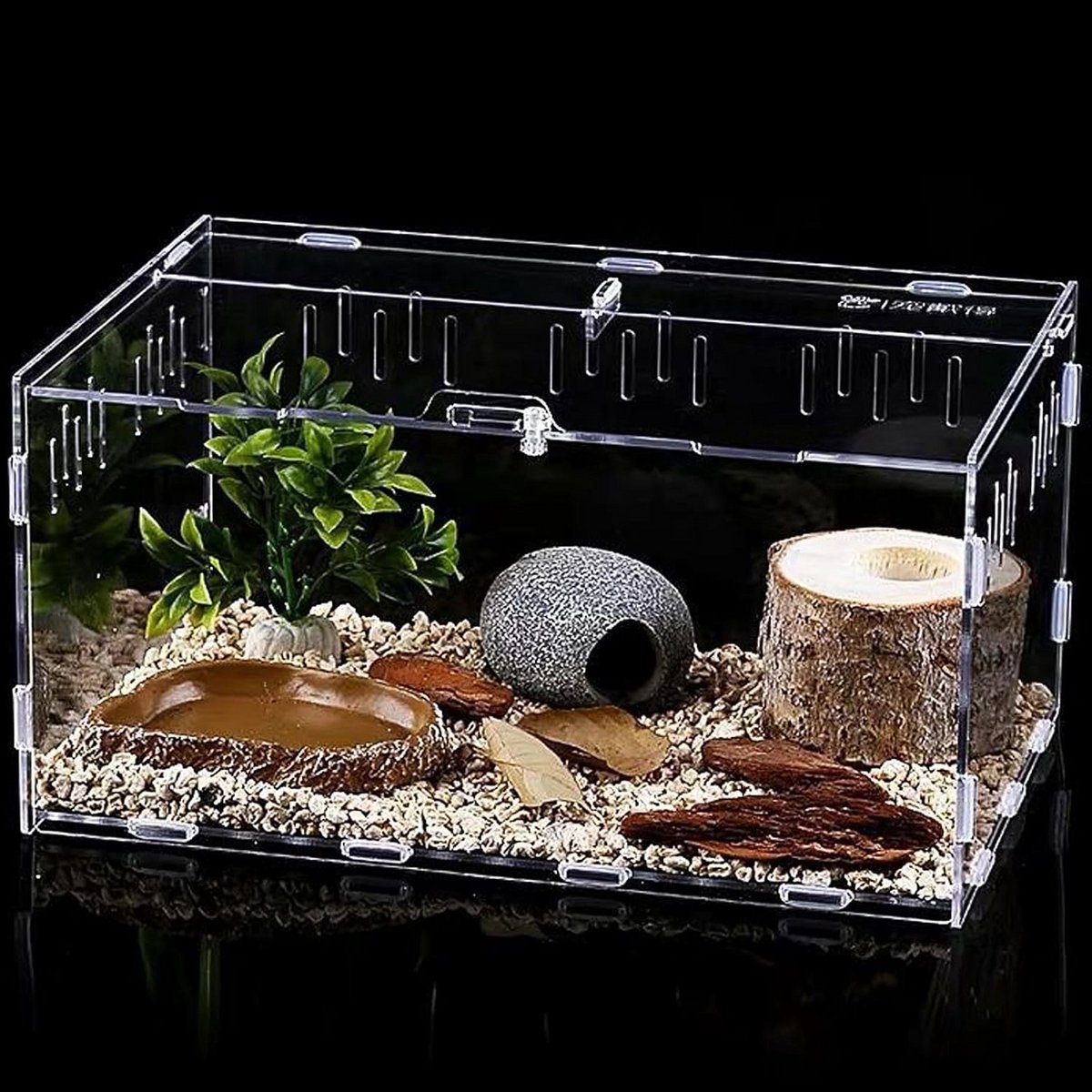 Transparante Terrarium & Voedingsbox voor Hagedissen, Spinnen, Kikkers en Kevers (30x20x15 cm)
