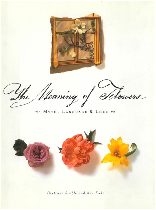 The Meaning of Flowers - cover