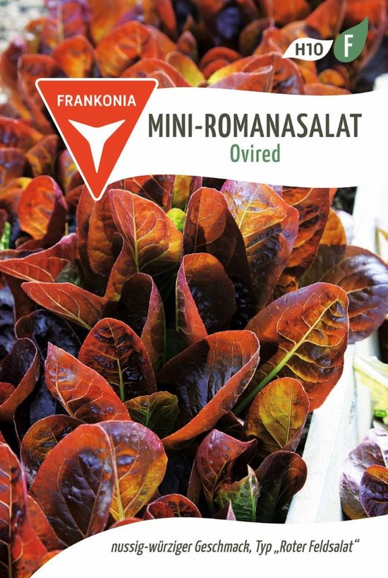 Mini Romaine Sla, Ovired