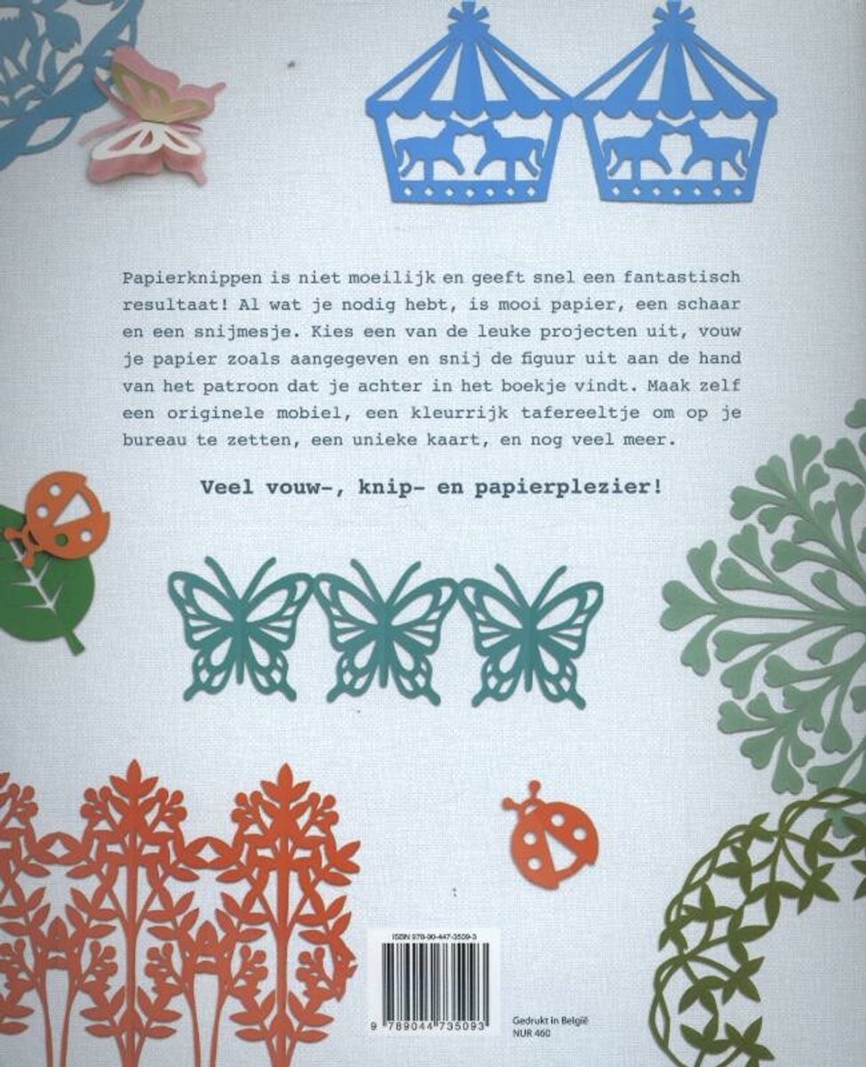 Boekomslag met diverse papieren knipkunst creaties in verschillende kleuren: vlinders, lantaarns, lieveheersbeestjes, bladeren en bloemen. Tekst: "Papierknippen is niet moeilijk en geeft snel een fantastisch resultaat! Al wat je nodig hebt, is mooi papier, een schaar en een snijmesje. Kies een van de leuke projecten uit, vouw je papier zoals aangegeven en snij de figuur uit aan de hand van het patroon dat je achter in het boekje vindt. Maak zelf een origineel mobiel, een kleurrijk tafereeltje om op je bureau te zetten, een unieke kaart, en nog veel meer. Veel vouw-, knip- en papierplezier!"