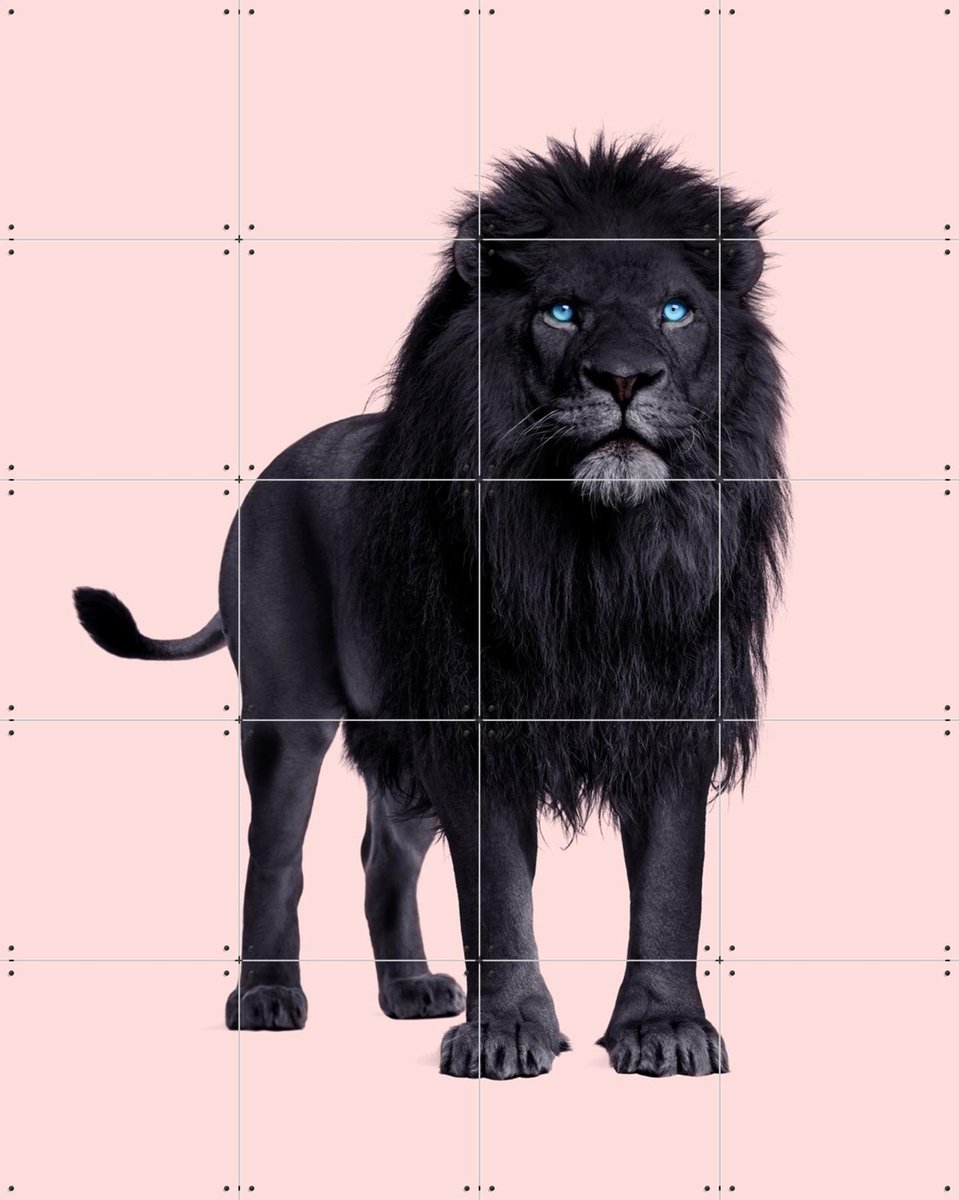 IXXI Black Lion, Paul Fuentes - 80 x 100 cm - Gratis ophangtool - Grote wanddecoratie en posters - Fotografie, Wilde dieren
