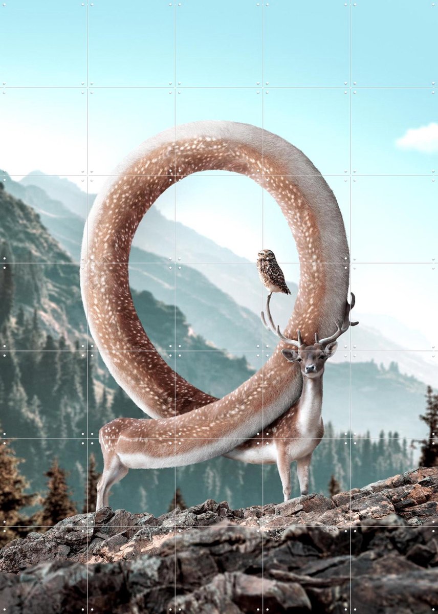 IXXI Infinideer, Julien Tabet - 100 x 140 cm - Gratis ophangtool - Grote wanddecoratie en posters - Fotografie, Speels, Natuur