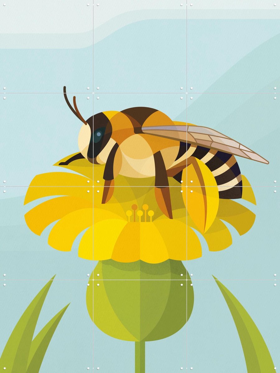 IXXI Pluimvoetbij, Elke Uijtewaal - 60 x 80 cm - Gratis ophangtool - Grote wanddecoratie en posters - Illustraties, Kleurrijk, Grafisch Ontwerp,
