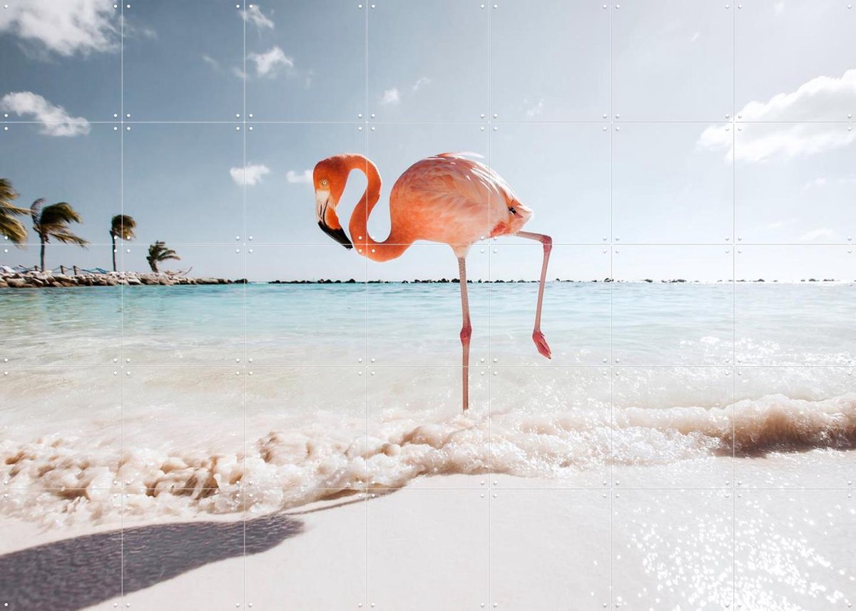 IXXI Flamingo - Strike a Pose, Claire Droppert - 140 x 100 cm - Gratis ophangtool - Grote wanddecoratie en posters - Naturalisme, Fotografie, Speels