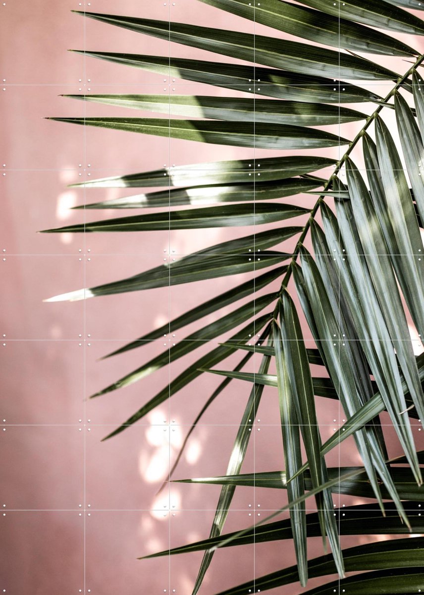 IXXI Palm Leaves 23, Mareike Böhmer - 100 x 140 cm - Gratis ophangtool - Grote wanddecoratie en posters - Fotografie, Woonkamer, Slaapkamer