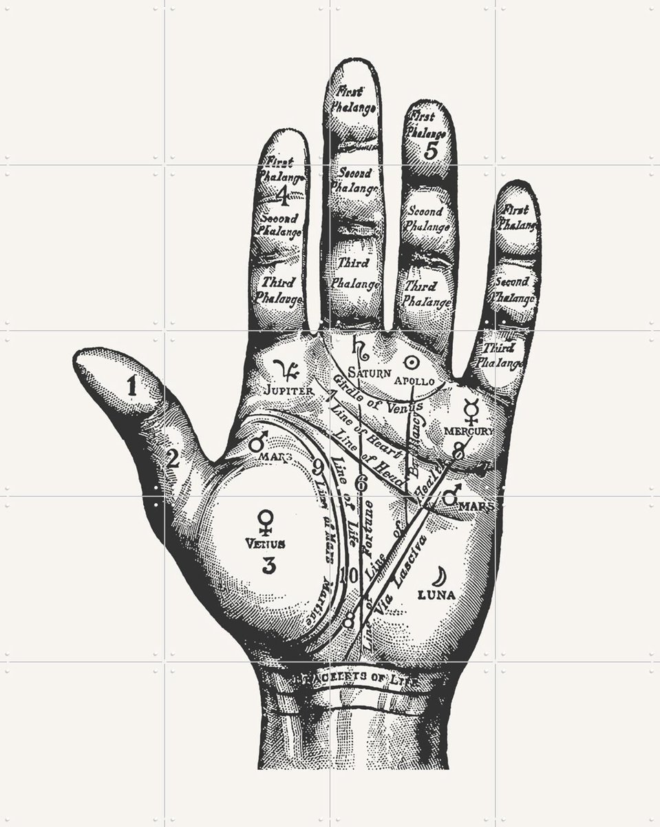 IXXI Palmistry, Aster Edition - 80 x 100 cm - Gratis ophangtool - Grote wanddecoratie en posters - Technische Tekening, Houtsnede, Illustraties