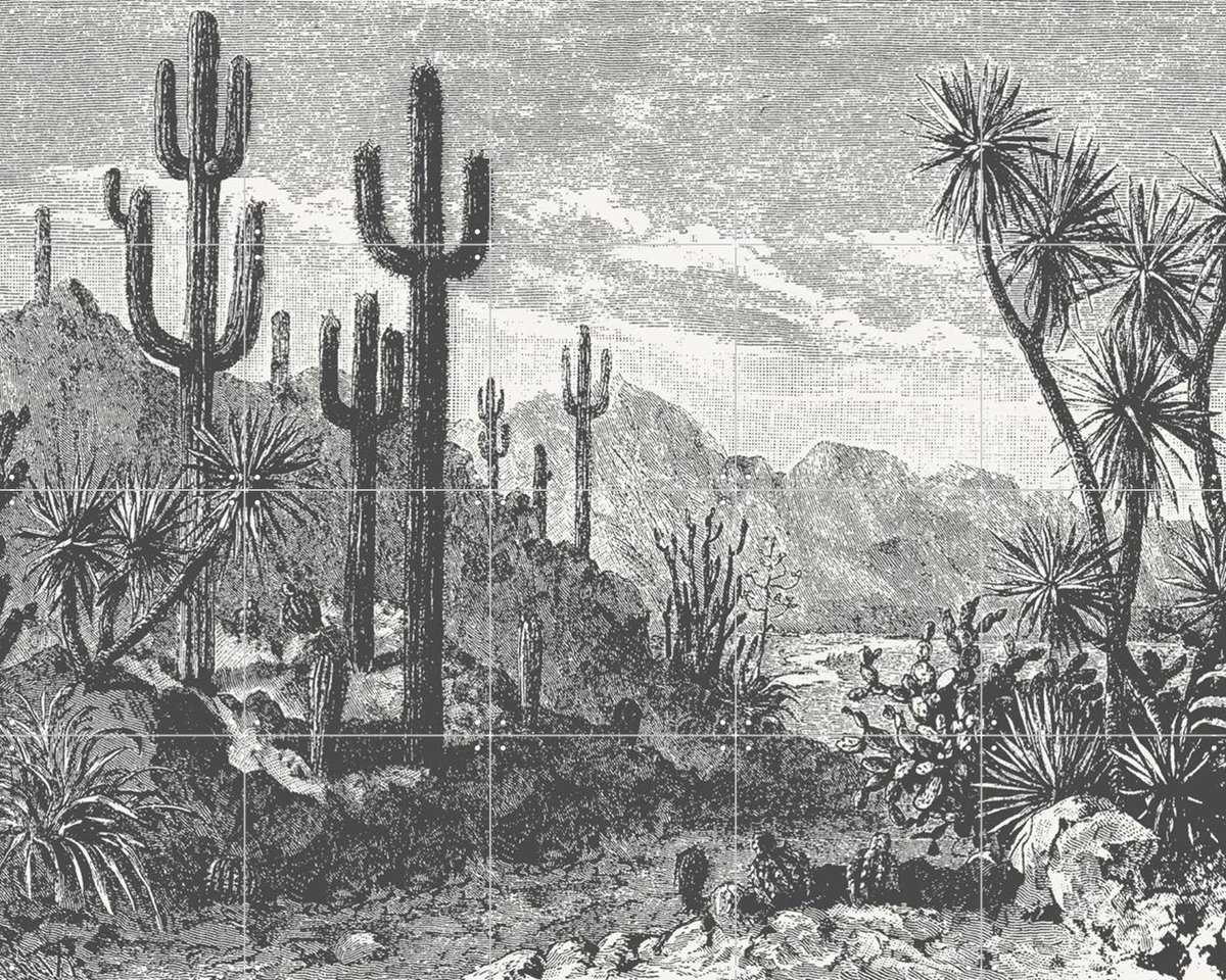 IXXI Cactuses in Mountains, Aster Edition - 100 x 80 cm - Gratis ophangtool - Grote wanddecoratie en posters Bergen, Natuur, Landschappen