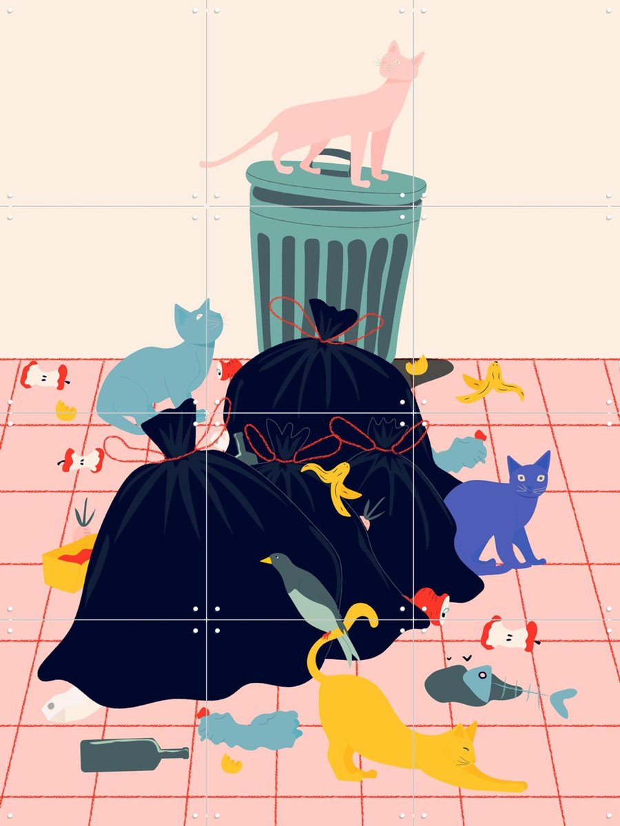 IXXI Cats, Jota de Jai & Various - 60 x 80 cm - Gratis ophangtool - Grote wanddecoratie en posters - Illustraties, Kleurrijk, Kinderkamer, Kinderen