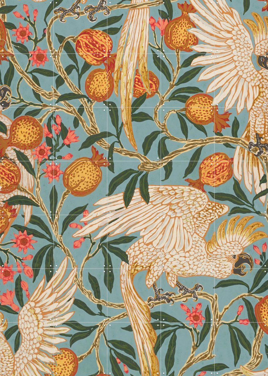 IXXI Cockatoo and Pomegranate, Walter Crane & Victoria and Albert Museum - 100 x 140 cm - Gratis ophangtool - Grote wanddecoratie en posters -