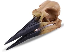 Decoratie DierenSchedel Schuilplaats voor Aquarium Terrarium Reptielen en Halloween
