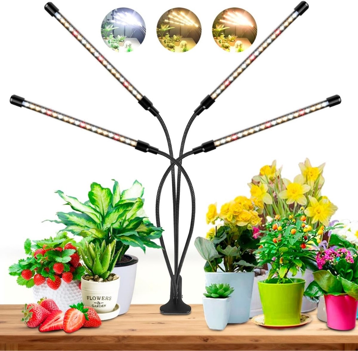 Kweeklamp voor planten - LED Full Spectrum - Groeilamp en Bloeilamp - Kweeklampen Binnen