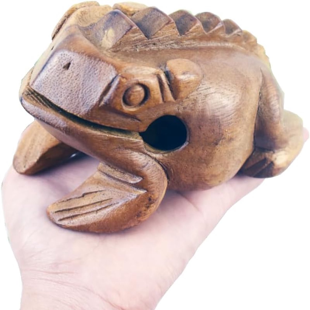 Kikker guiro - Houten blok - Muziek maken - Natuurlijk hout - 14 cm