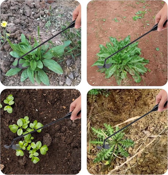 Onkruidtrekker - Draagbaar tuingereedschap voor het uit de grond trekken van onkruid - Gesmede handwieder met 4 tanden van mangaanstaal, ideaal voor moestuinen, achtertuinen en kleinschalige landbouw van Merkloos	 — afbeelding 4