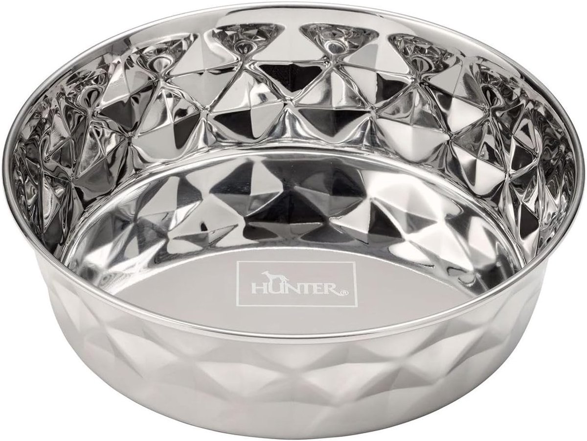 Voerbak Hond - Eetbak Huisdier - Honden Voeren - Antislip Bodem - 3800 ml - Zilver