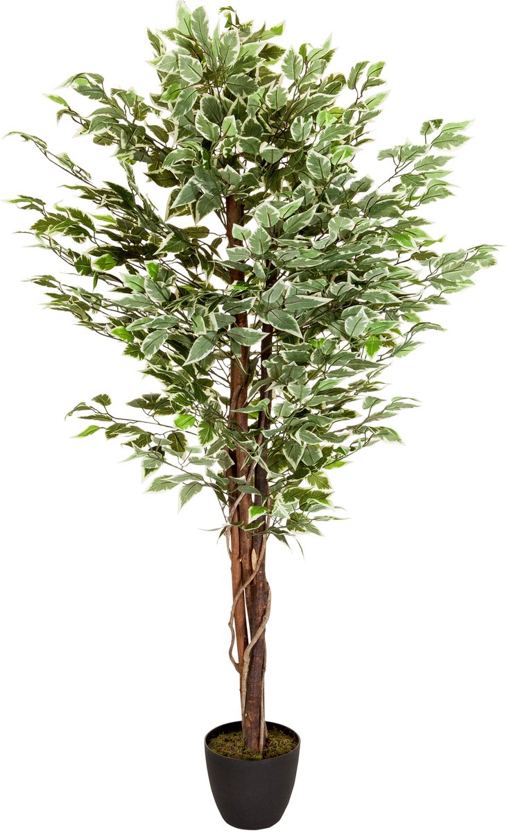 hjh office Kunstplant / kunstboom FICUS groen hjh OFFICE
