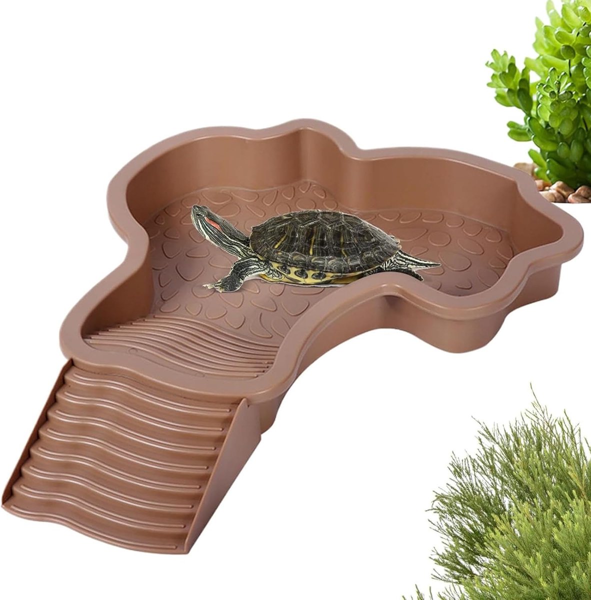 Schildpadden Badbak - Reptielen Waterbak - Verblijf Inrichten - Met Hellende Voerplaat - 35x28x4cm