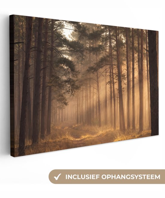Canvas schilderij 120x80 cm - Exclusieve wanddecoratie Bos - Mist - Zonlicht - Muurdecoratie woonkamer - Slaapkamer decoratie - Kamer accessoires - Schilderijen op canvas