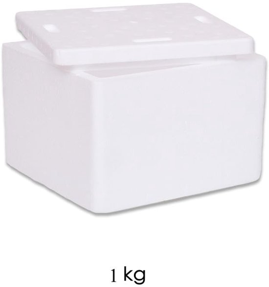 Thermobox met Deksel - Piepschuim Box - Voedsel Transport - Lichtgewicht Isolatie - 19.6x19.6x12.5 cm - Wit — afbeelding 2