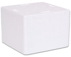Thermobox met Deksel - Piepschuim Box - Voedsel Transport - Lichtgewicht Isolatie - 19.6x19.6x12.5 cm - Wit