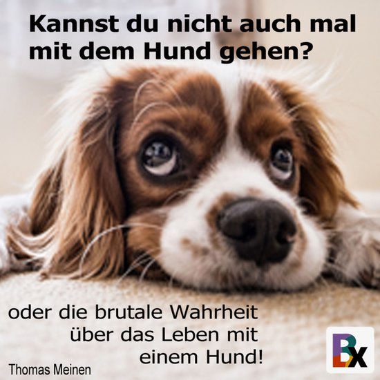 Kannst du nicht auch mal mit dem Hund gehen? - cover