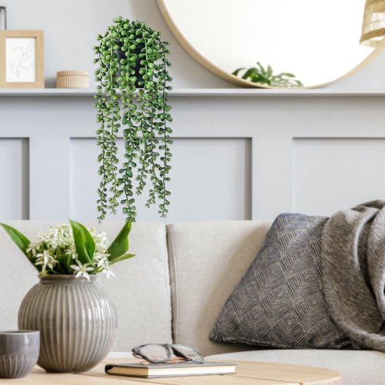 Plante verte suspendue aux feuilles rondes dans un vase gris.