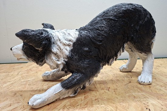 Border Collie Hond Beeld Zwart Wit - 30cm hoog - polyresin - polystone ...