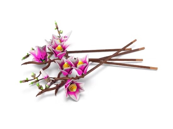 LEGO Botanicals Magnoliatakken - 11510