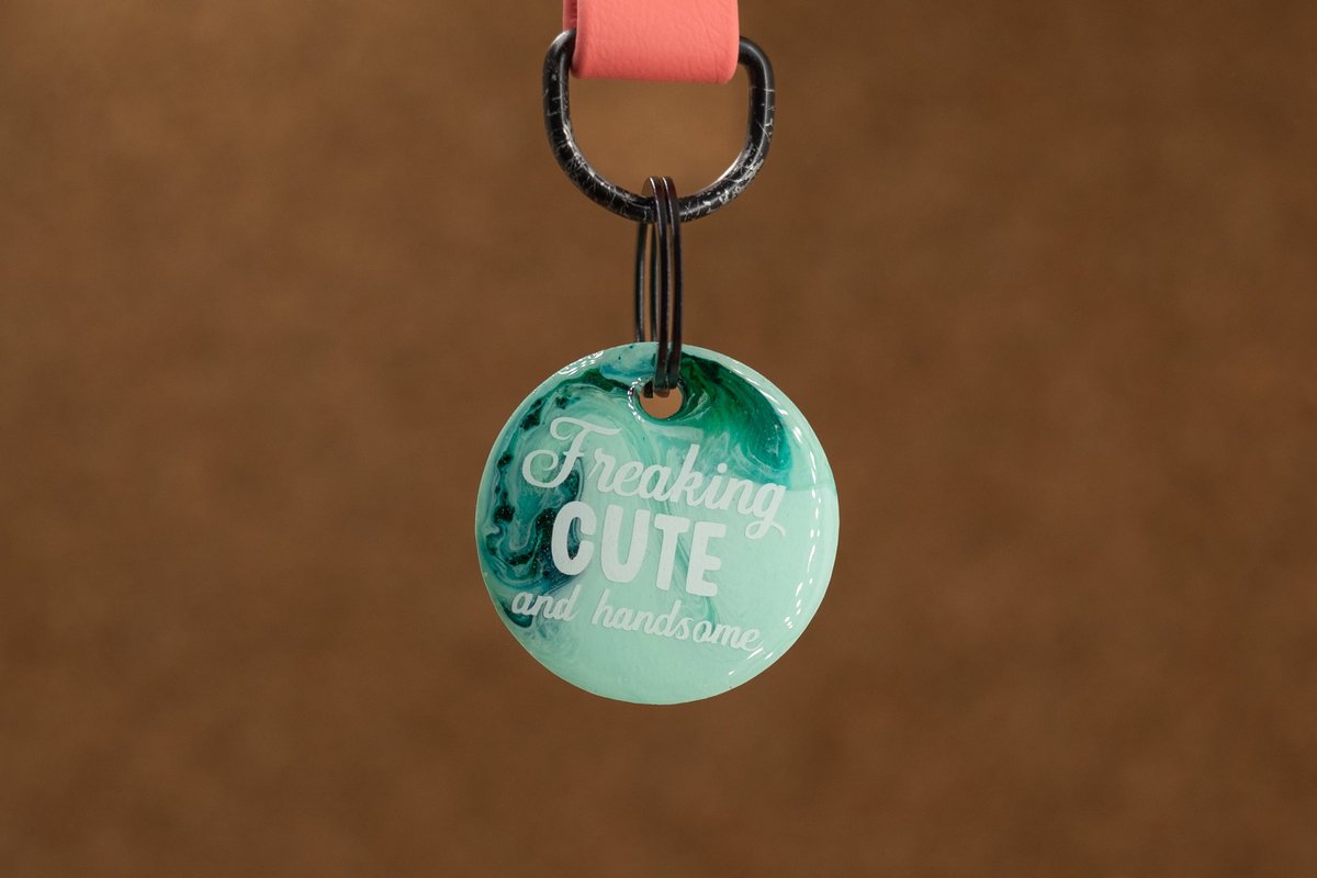 Crackerjack hondenpenning - Fun tag - Freaking cute & handsome - slijtvast - moddervast - uniek - leuk als cadeau