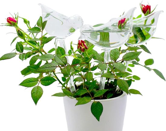 Glass Watering Globe Zelfbewaterende spikes - verpakking van 3 plantenbewateringslampen - vogelvorm zelfbewatering voor binnen- en buitenplanten van Relaxdays — afbeelding 5