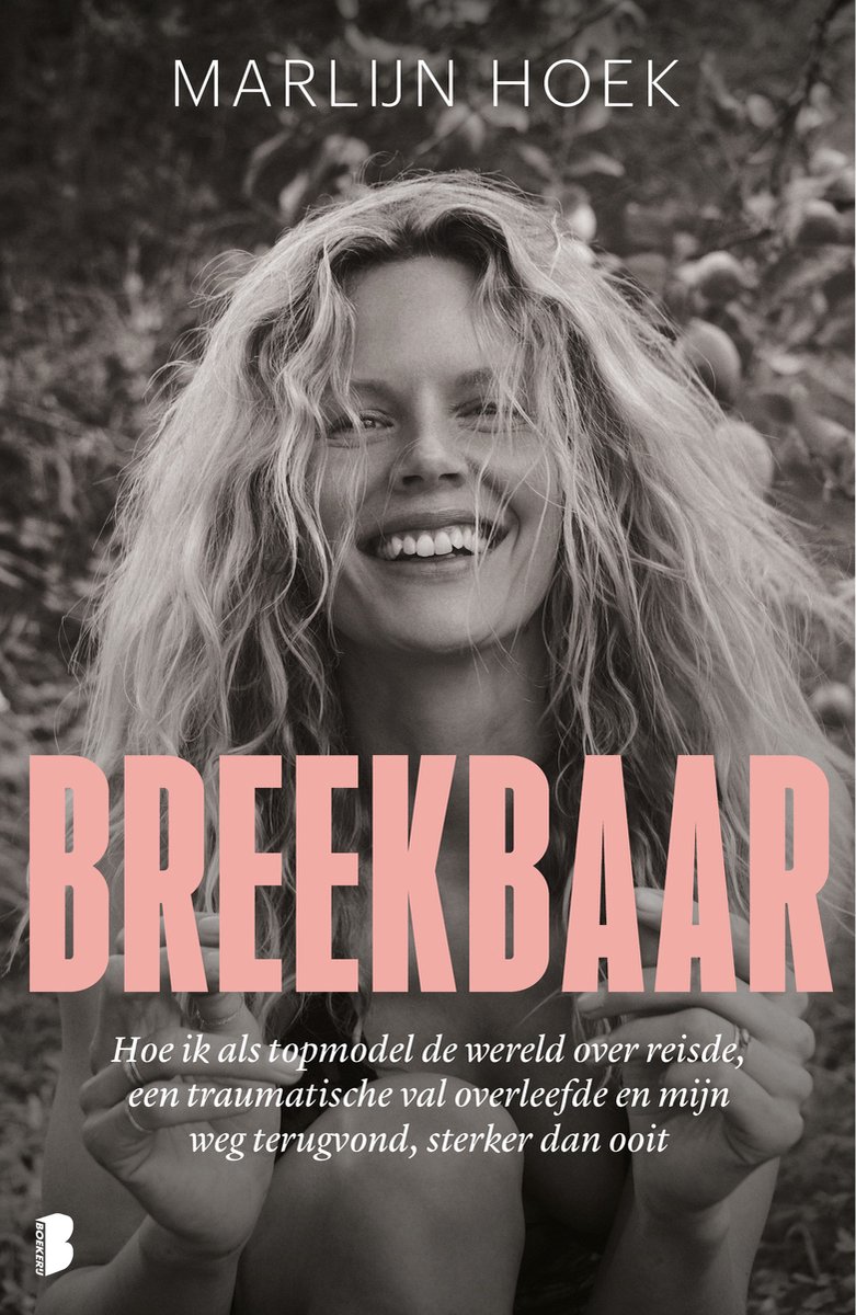 Omslag van Breekbaar