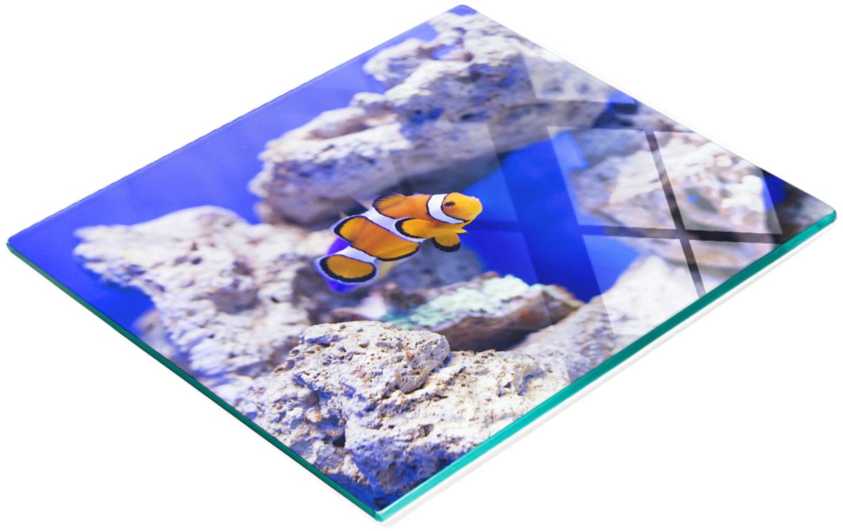 Decoratieve glazen keukensnijplank Nemo koraalrif 60x52 cm