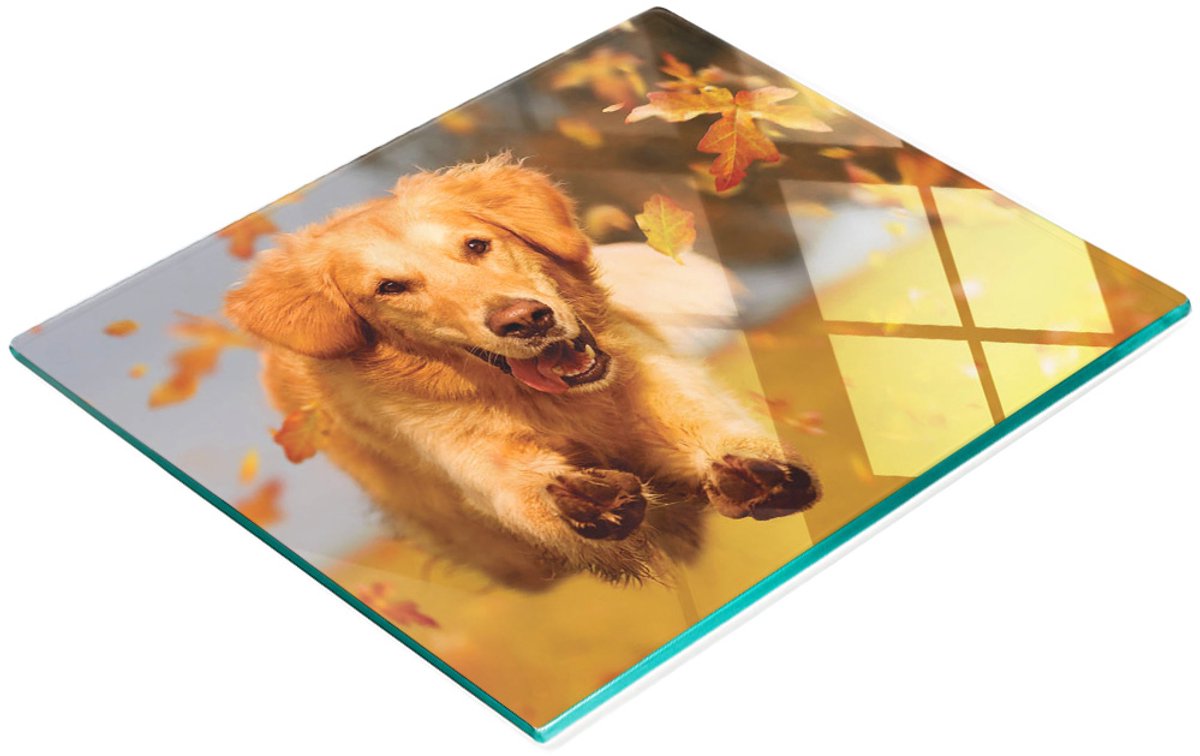 Decoratieve glazen snackplank met afbeelding van een Golden Retriever, 60x52 cm