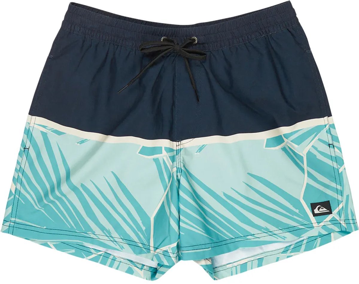 Quiksilver Everyday Poolsider 15´´ Zwembroek L Man Marineblauw