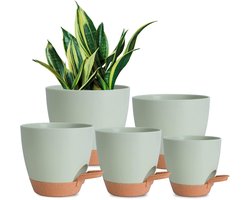 Bloempotten voor binnen, 7/6,5/6/5,5/5 inch, zelfwaterende plantenbakken met drainagegat, plastic bloempotten voor vetplanten, Afrikaans viooltje (groen)