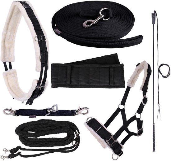 Longeren Accessoires - Paardentraining Hulpmiddelen - Bodemwerk Training - Verstelbare Riemen - Pony Maat - Zwart Longeren Accessoires - Paardentraining Hulpmiddelen - Bodemwerk Training - Verstelbare Riemen - Pony Maat - Zwart