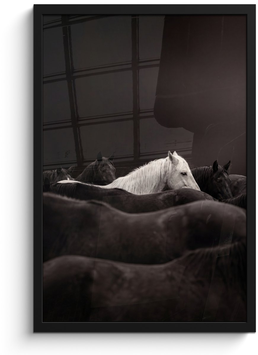FrameYourWall Poster in lijst - Fotolijst 40x60 cm - Posters - Paarden - Zwart - Wit - Kudde - Posterlijst zwart - Decoratie - Wanddecoratie woonkamer - Muurdecoratie slaapkamer