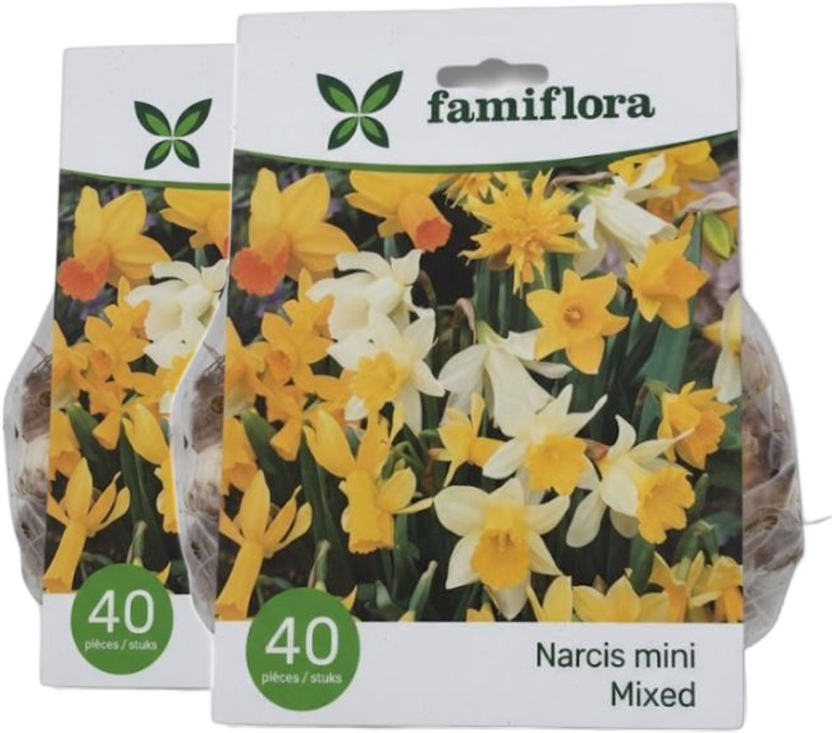 Famiflora Narcis Mix 2 x 40 - 80 bloembollen - Overvloed aan narcissenpracht voor een indrukwekkend tuinbeeld - Brengt frisse lente-energie en vrolijkheid in je buitenruimte