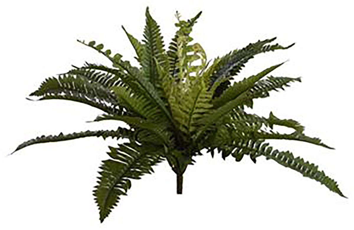 Pure Royal kunstplant varen 45cm groen