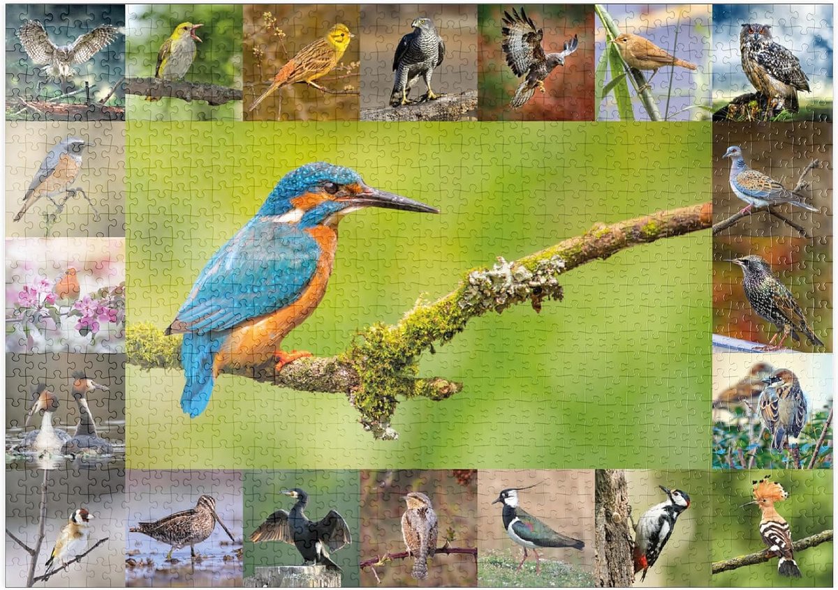 Legpuzzel 1000 Stukjes - Vogel Collage - Ontspannend Tijdverdrijf - Gedetailleerd Natuur Beeld - 68x48 cm - Meerdere Kleuren