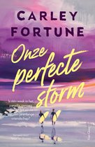 Onze perfecte storm