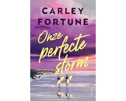 Omslag van Onze perfecte storm